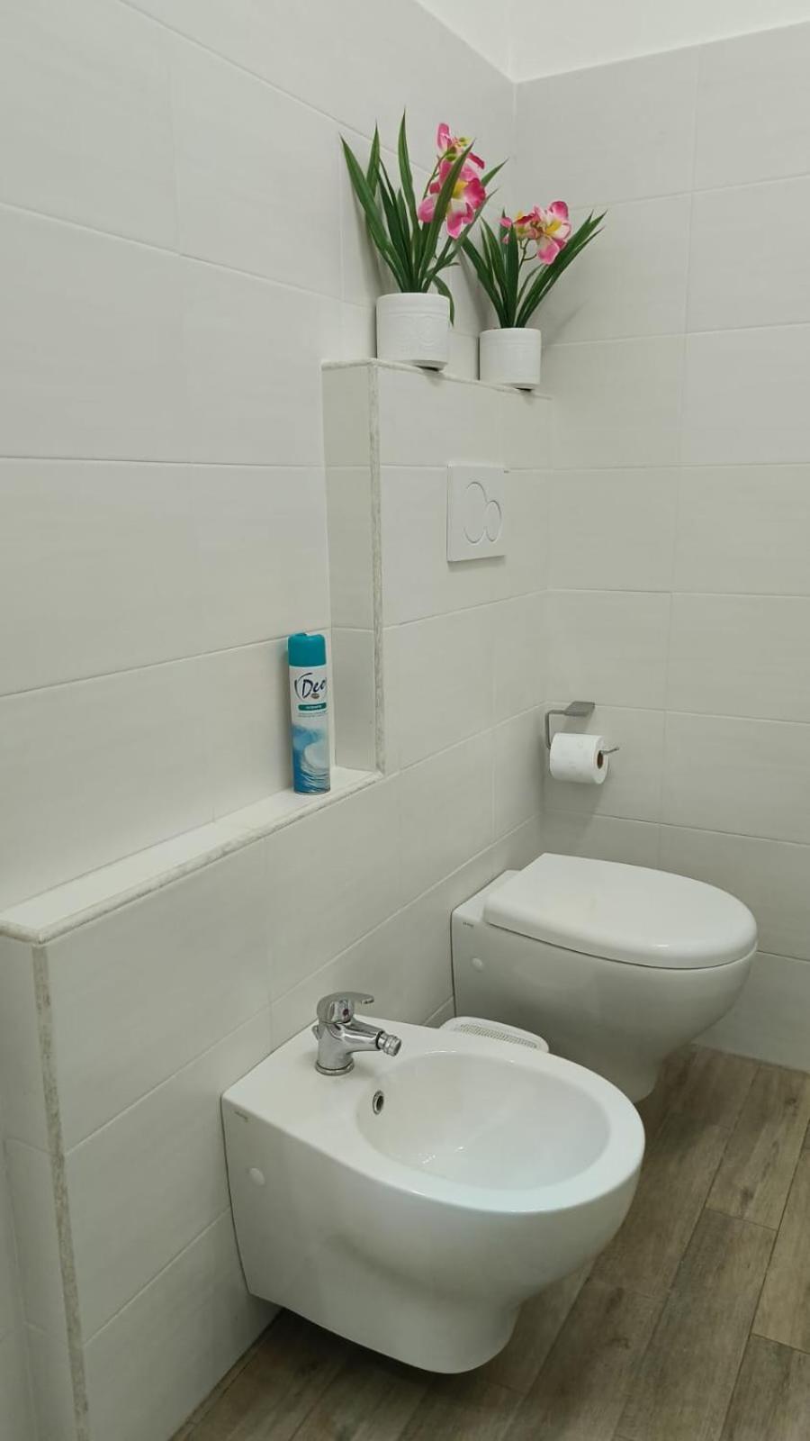 Rome Apartment D'Amata Ciampino Dış mekan fotoğraf